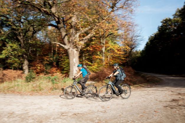 Fahrradfahren im Naturpark Reinhardswald
